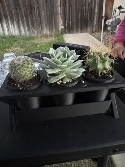 3D Printed Office desk planter