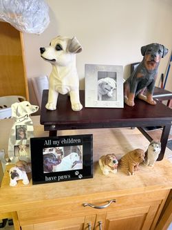 Dog decorative