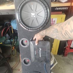 Twelve inch speakers good for a truck