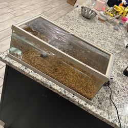 10g Fish Tank With gravel filter