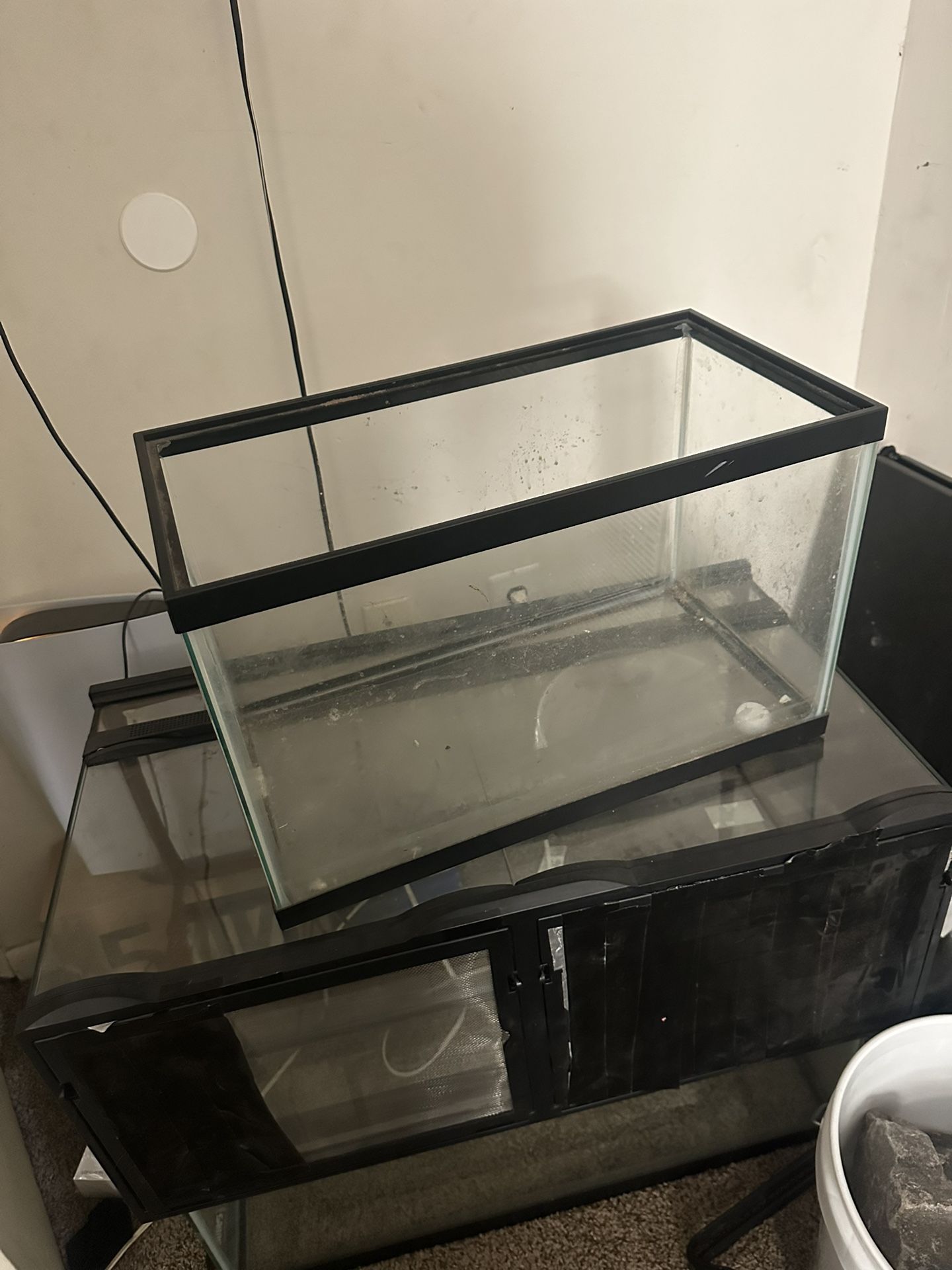 5 Gallon Fish Tank