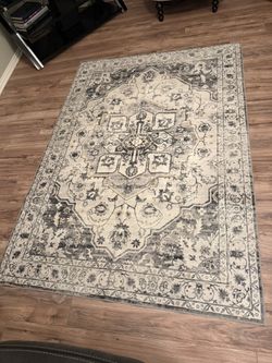 Beautiful Area Rug - ONLY $65 OBO