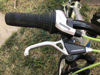 Schwinn 2025 scour 20