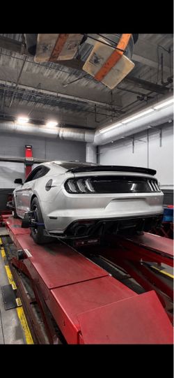 Mustang Gt Trunk