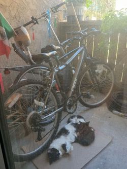Trek Hybrid Bicycle