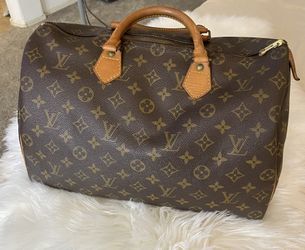 Louis Vuitton Purse