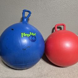 Bouncy Hopper Ball