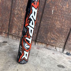 Rawlings Raptor Youth Baseball Bat: 29” 19oz