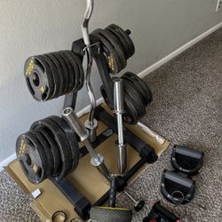 Gold Gym Weights 230lbs And Curl bar 
