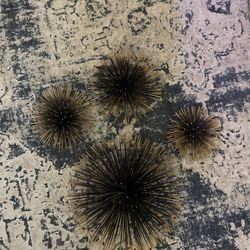Wall Sea Urchins