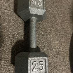 Single 25lb Dumbbell 