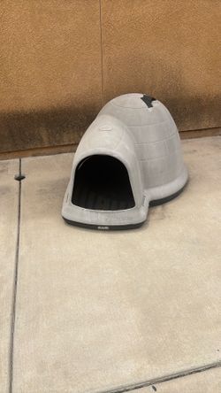 Igloo Dog house