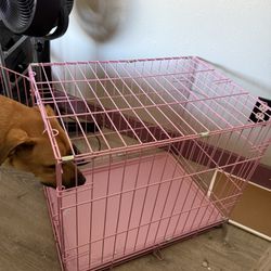 Pink Kennel And Two Beds One New Other Slightly Used