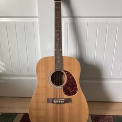 Burswood Acoustic Guitar 