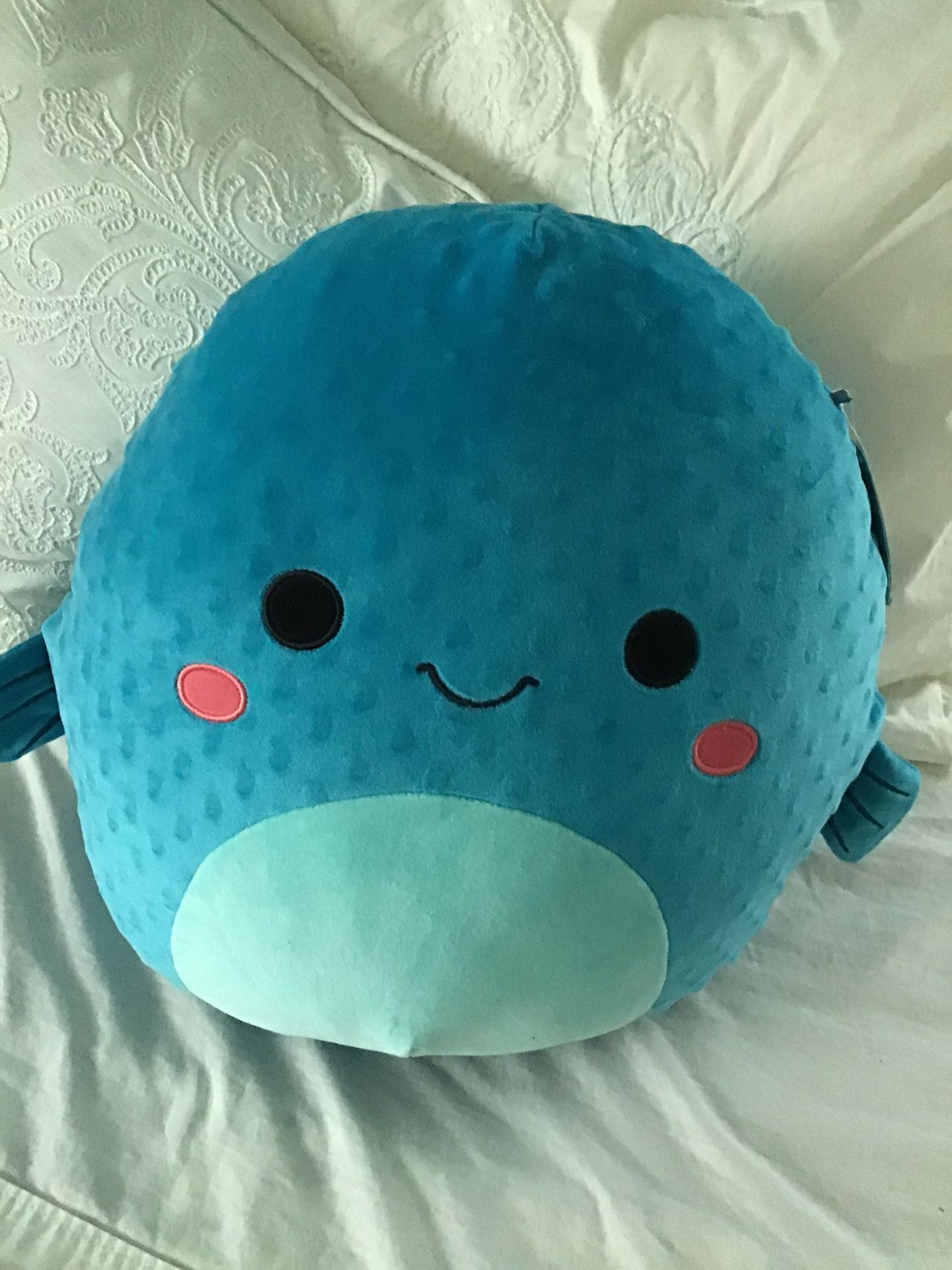 New Large Fish Squishmallow