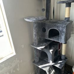 Cat Tower 