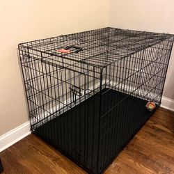 Dog Kennel 