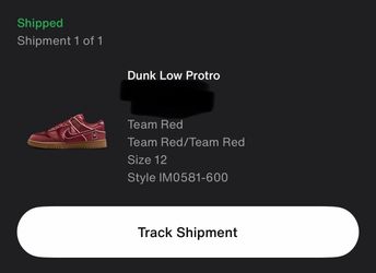 Kobe dunk low protro