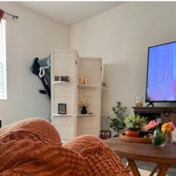 White Room Divider With Shelves 