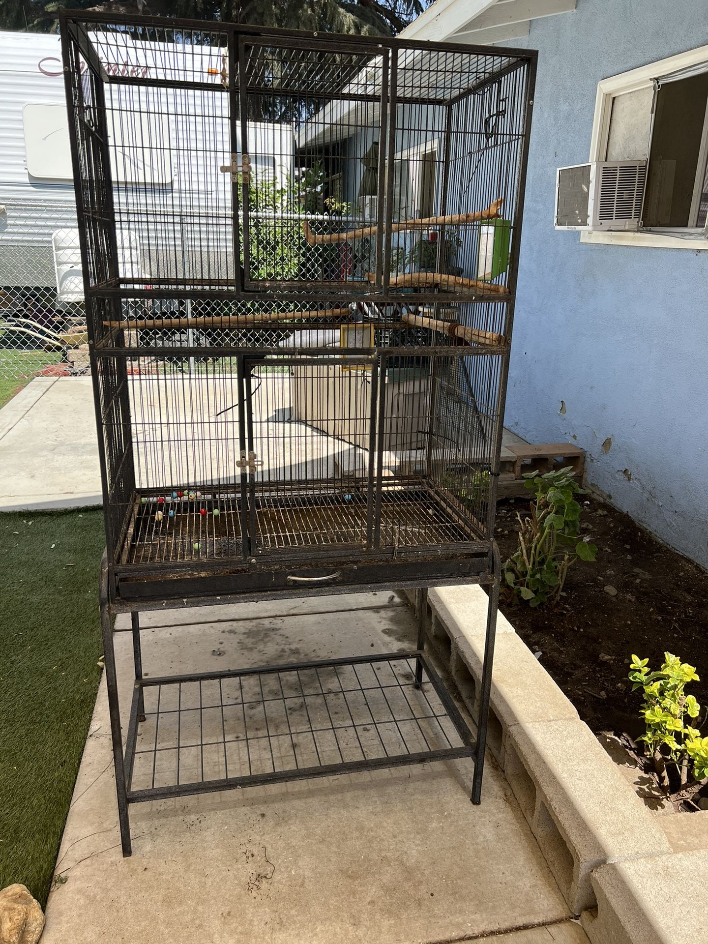 Bird Cage