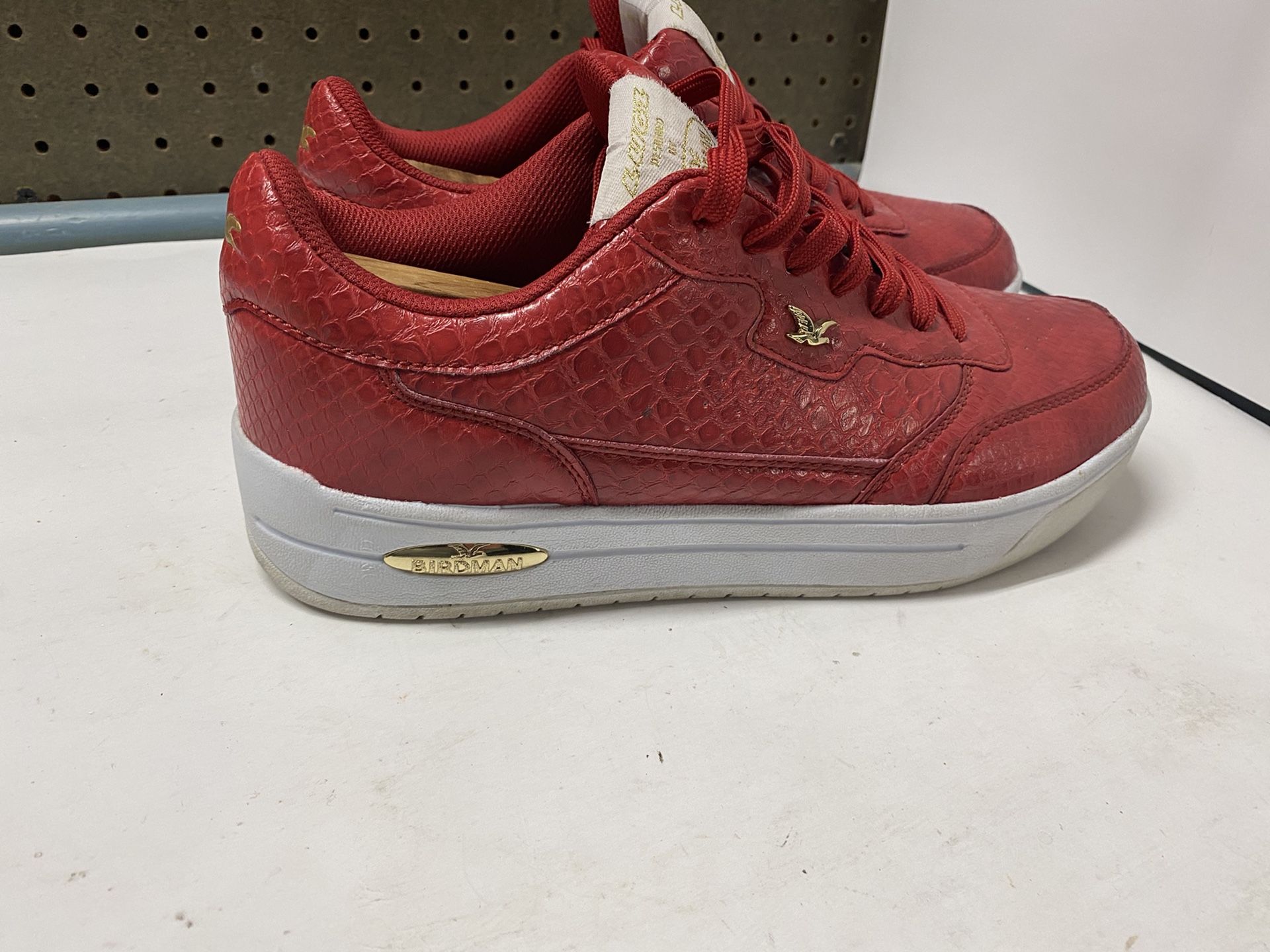 Birdman hotsell lugz shoes