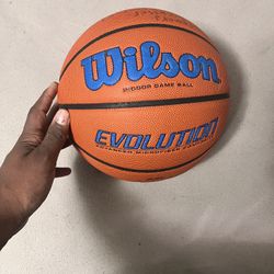 Wilson Evolution Basketball 