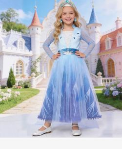 NWT Elsa inspo costume for girls sz 140 (maybe 5-8yrs?)