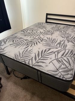 Queen size bed w frame need gone
