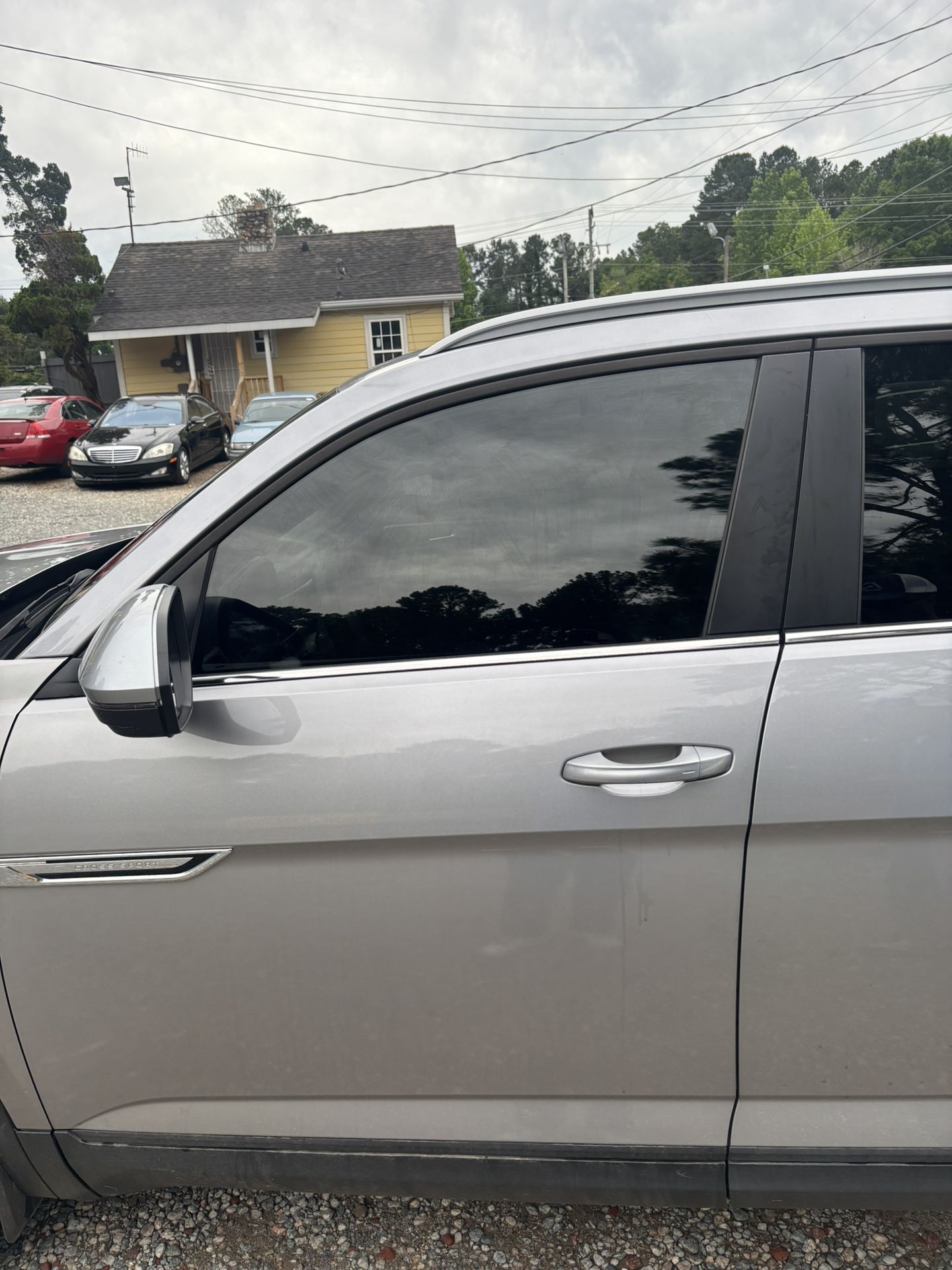 100 Dollar Quick Tint