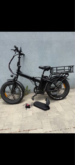 Rattan Ebike LM 750 Pro