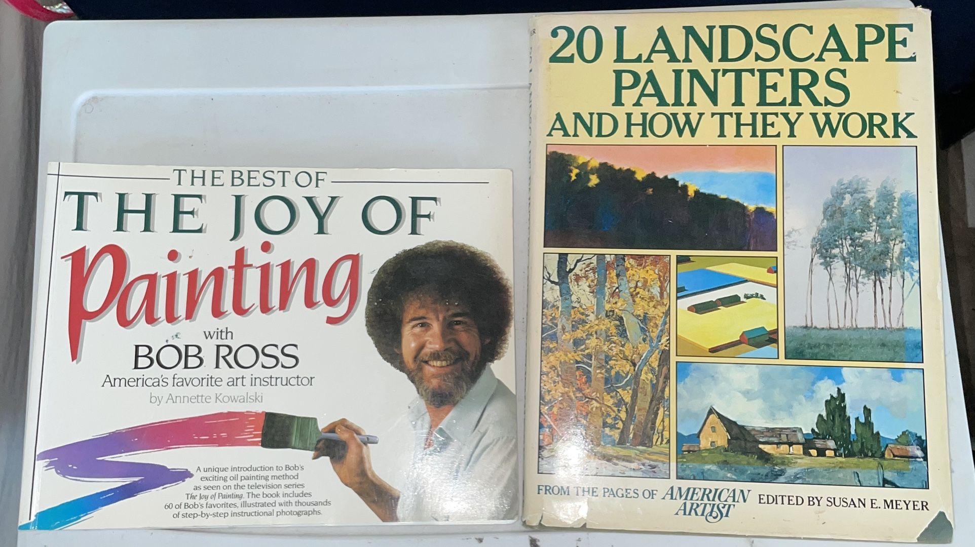 Painter Supplies