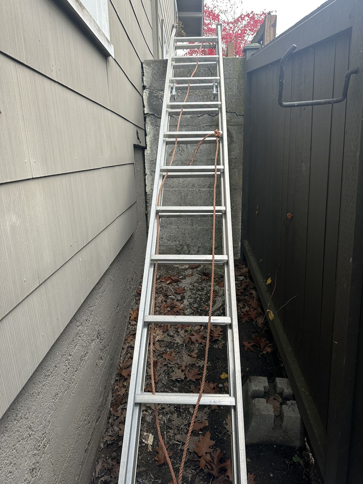 24ft Ladder