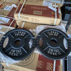Iron Weight Plates 25 lbs 