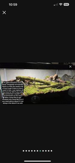 Reptile Supplies And Tanks Thumbnail
