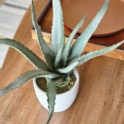 Artificial Aloe Plant With Pot