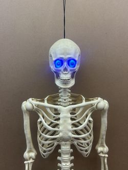 2020-2021  Big Lots LED Hanging “SKELETON” 4ft 10-11in HALLOWEEN Decoration  👀 (please read description)