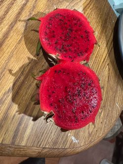Rosa dragon fruit plant