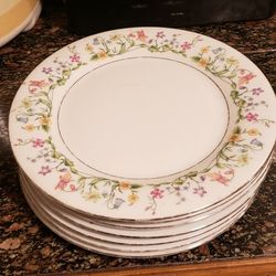 8 Plates And Plate Rack
