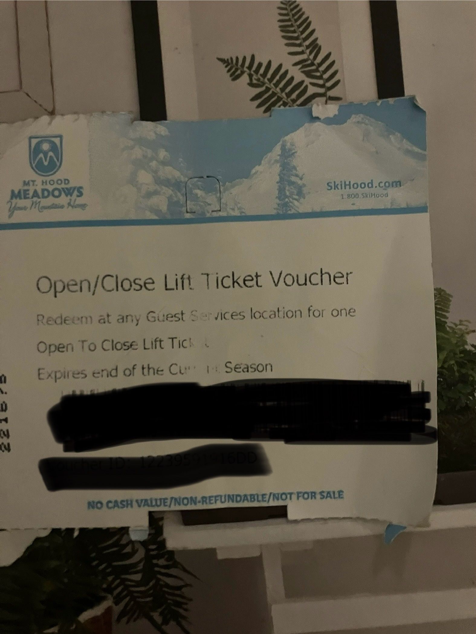 Mt. Hood Meadows Ticket Voucher