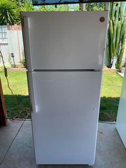 Top and bottom fridge