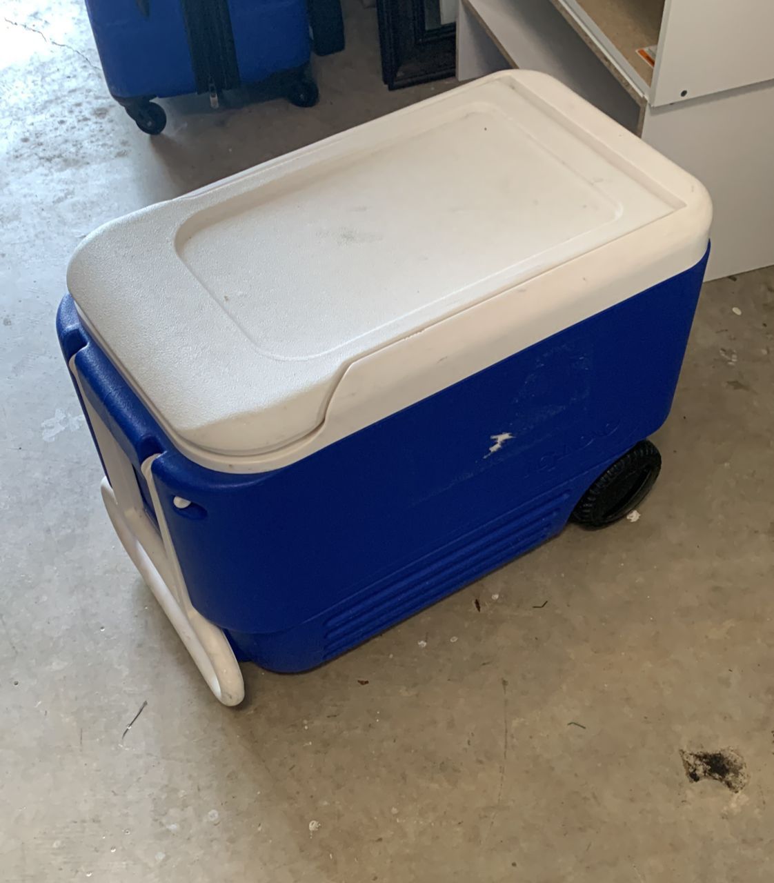 Coleman Cooler