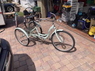 Schwinn Meridian