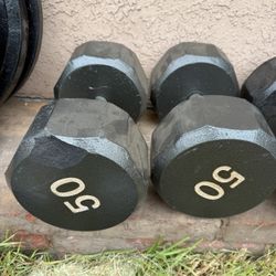 2-50 Lbs Dumbbell Weights 