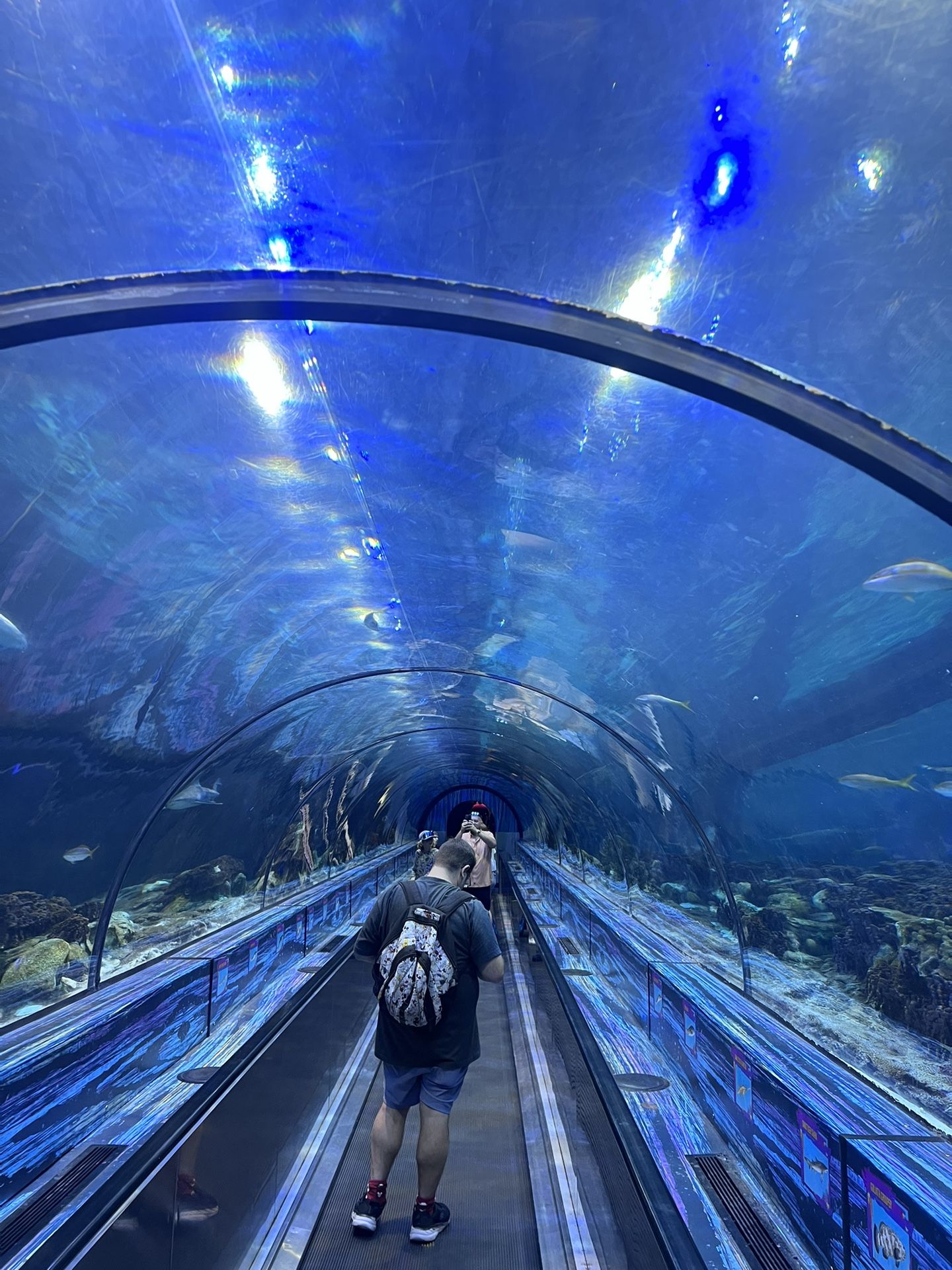 Seaworld Tickets/ aquatica