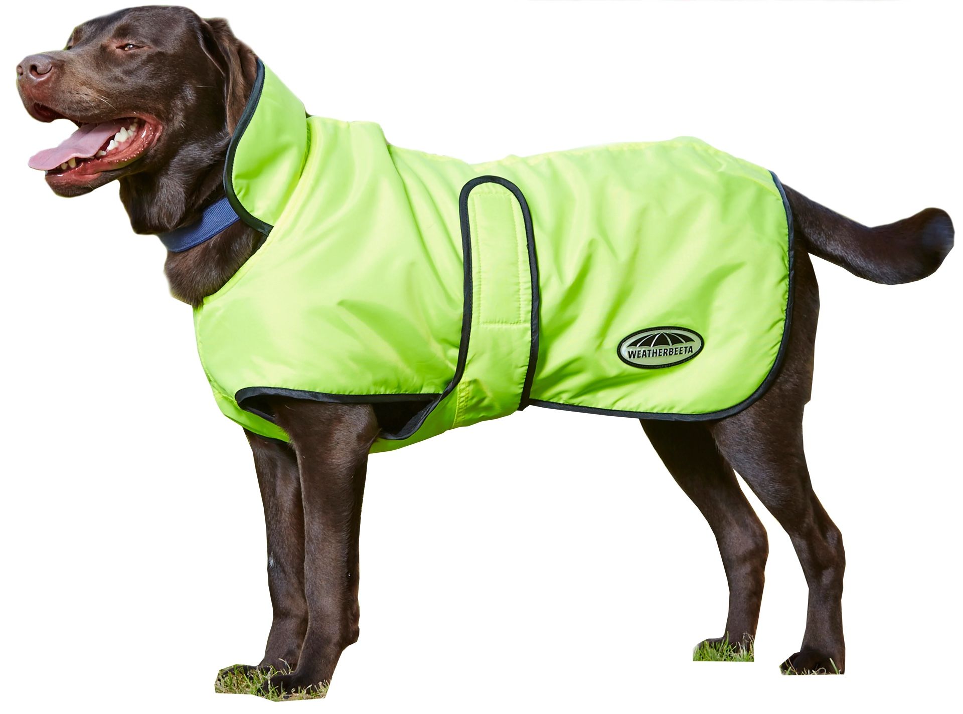 WINDBREAKER 420D DELUXE LITE DOG COAT new size 18"