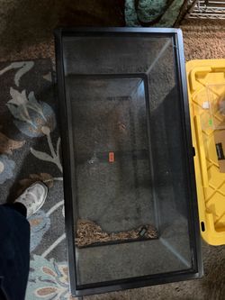 40 gallon breeder with lid