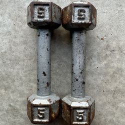 Dumbbells 5 Pound Set