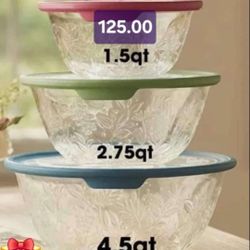 Recipientes Princess Houses 