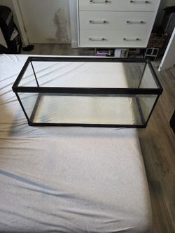 New Fish Tank