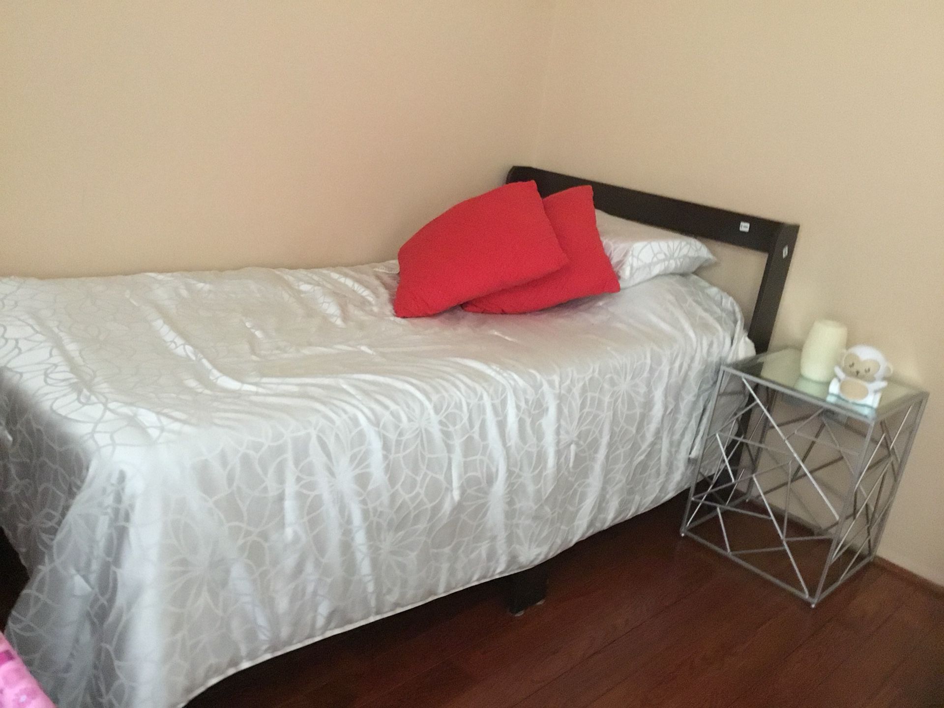 Twin bed set (frame, mattress, pillow, comforter)